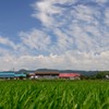 田舎の小さな駅