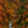 紅葉狩り・城ヶ倉大橋より