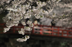 弘前城公園　撮影記