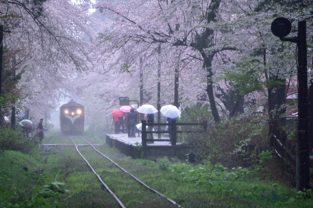 雨