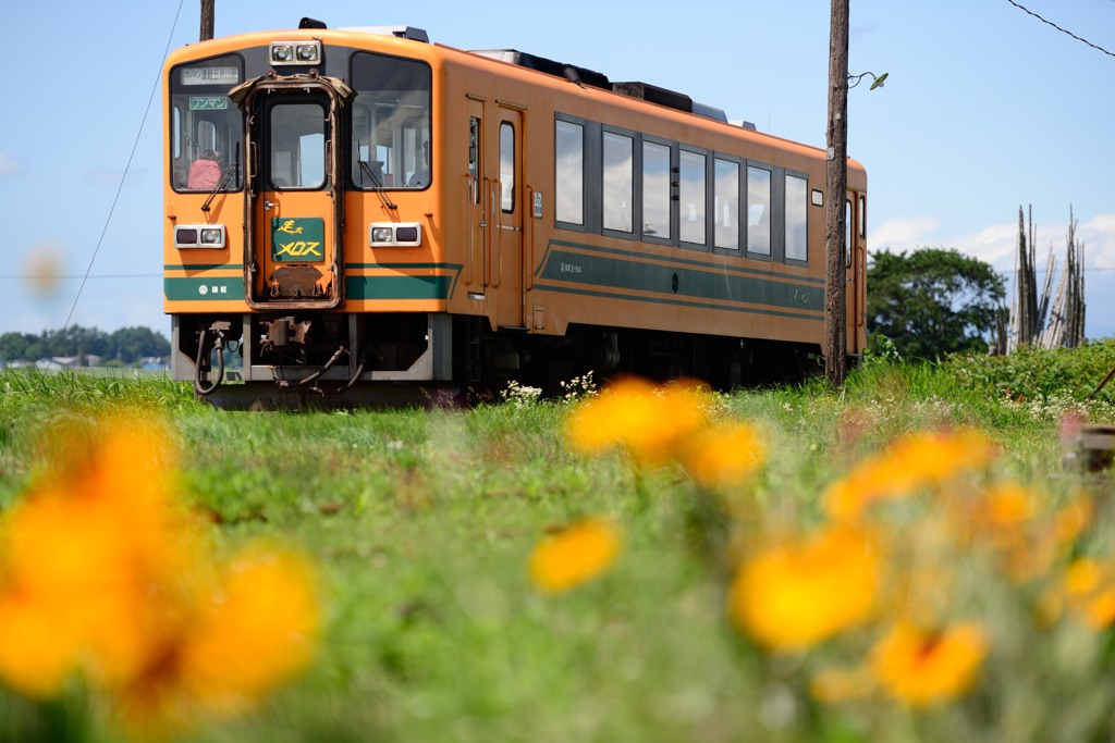 通常営業再開♪