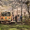 津軽鉄道　桜2017　その1　