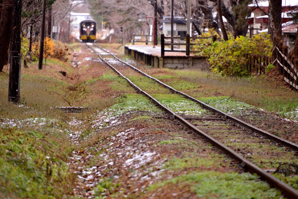 冬、到来