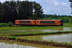 田園風景