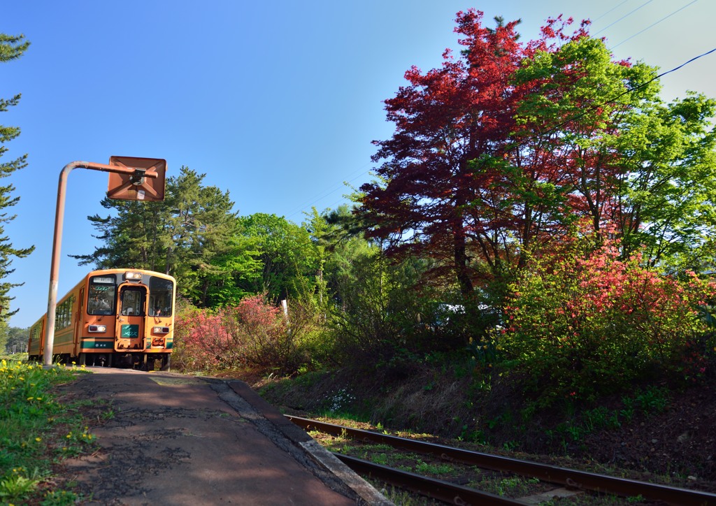 気持ちの良い朝