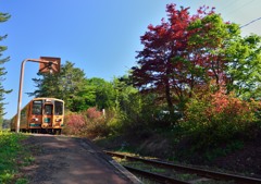 気持ちの良い朝