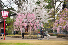 なんとなく