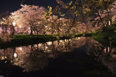 弘前城公園　