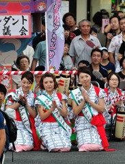 真夏のコットン1