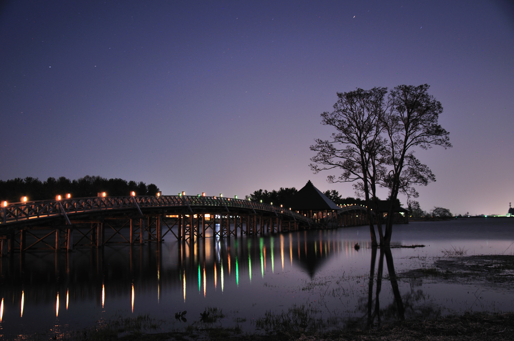 舞橋の夜