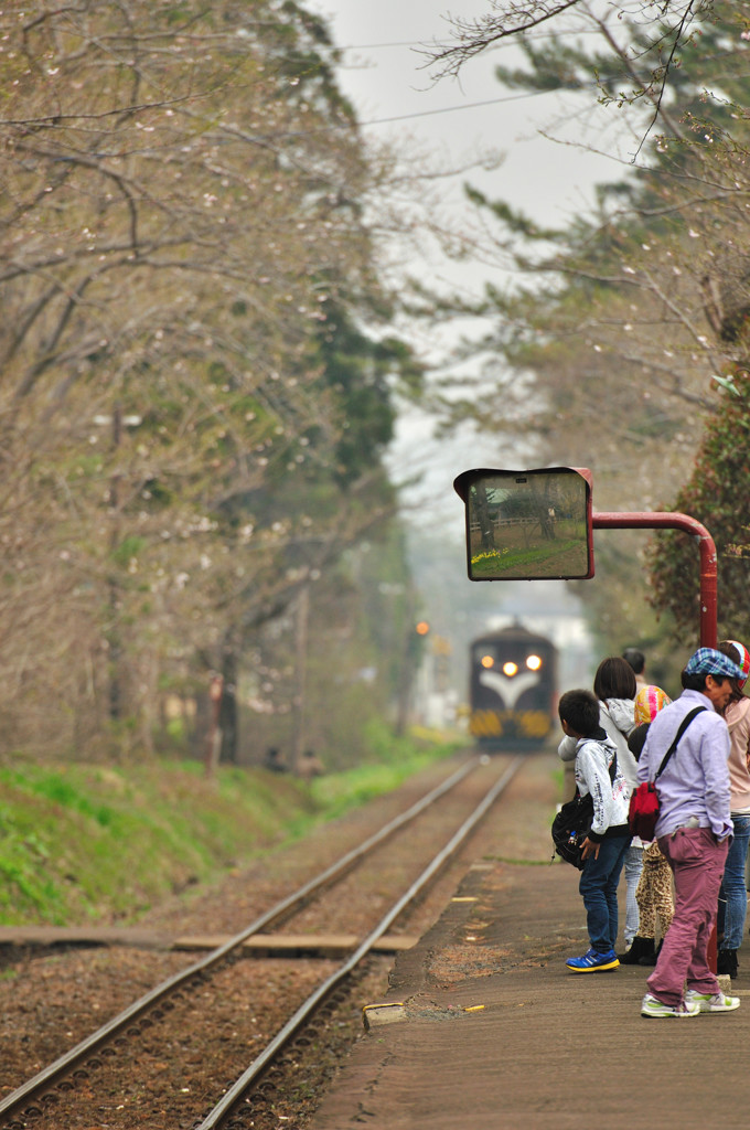 うわっ!来たーー!!