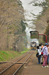 うわっ!来たーー!!