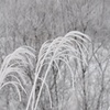零下の薄