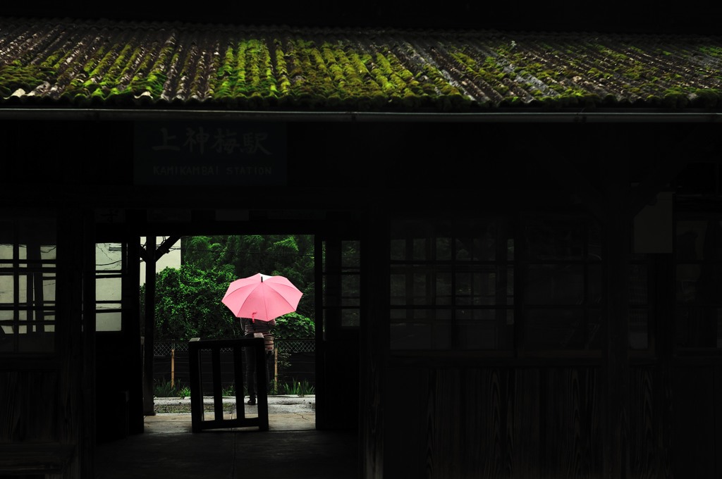 雨の上神梅