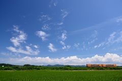 夏の空