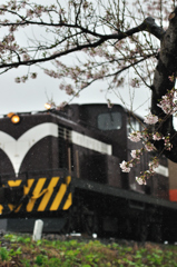 昭和34年生まれ　終