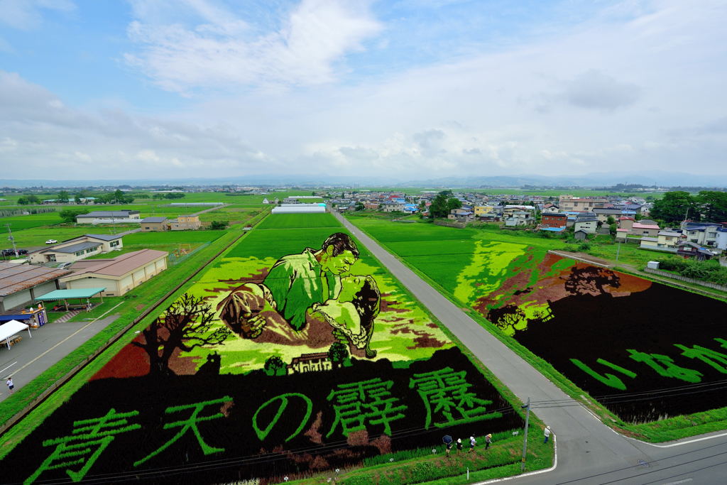 田んぼアート2015