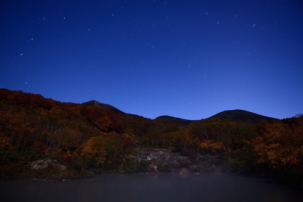 星空紅葉