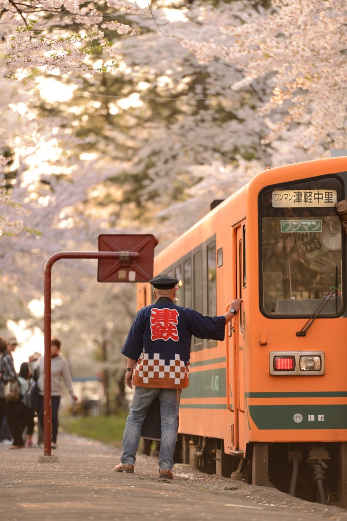 2014年　　　桜祭り8