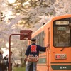 2014年　　　桜祭り8