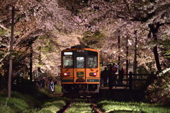 津軽鉄道　桜2017　　その4