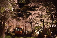 津軽鉄道　桜2017　その5