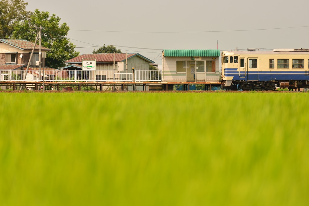 ～夏休み～　　　