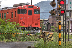 jackall 049