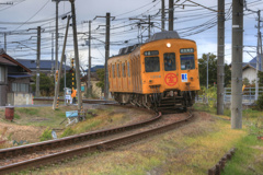 jackall 742