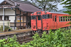 jackall 051
