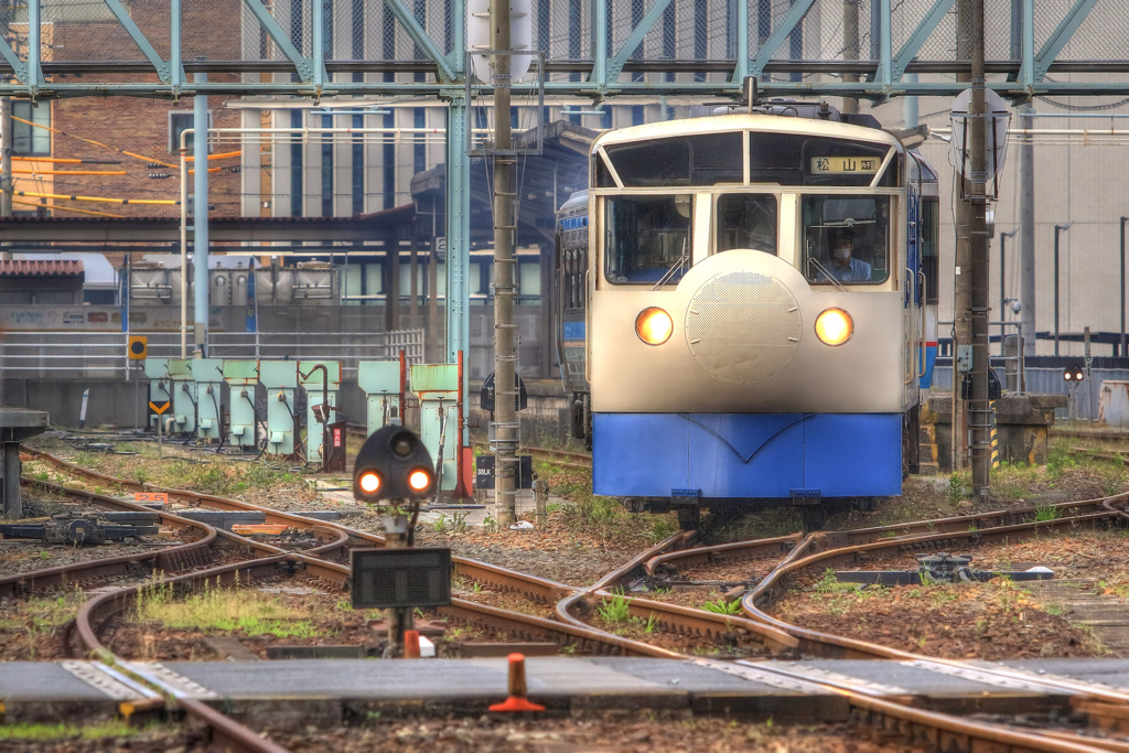 jackall 397