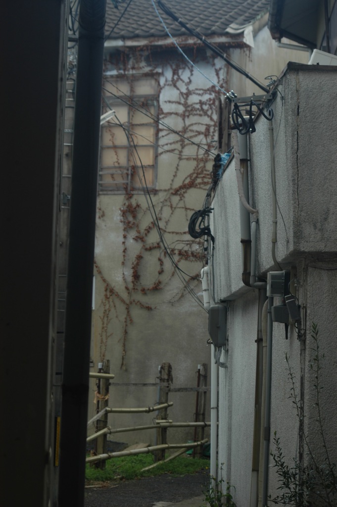 筑豊の路地裏にて