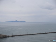 芦屋港の春