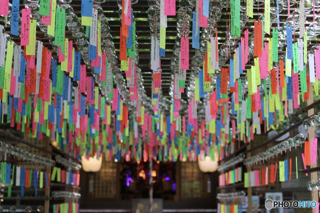 かえる寺の朝