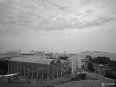 Spring of Nuclear Power Plant