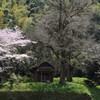 田園の春
