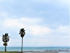 海辺の春