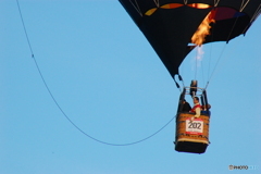 Official Balloon 202