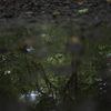 雨上がり