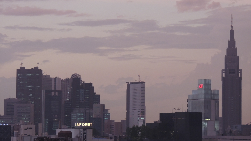 夕もやの新宿超高層ビル