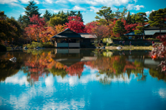 昭和記念公園　日本庭園