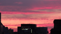 台風一過　夕焼け