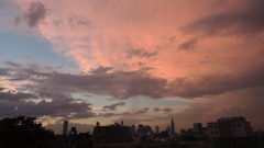 新宿　夕景