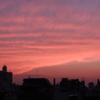 渋谷　夕焼け空