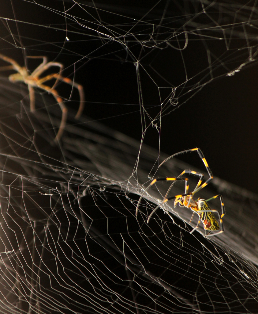 異次元への誘い