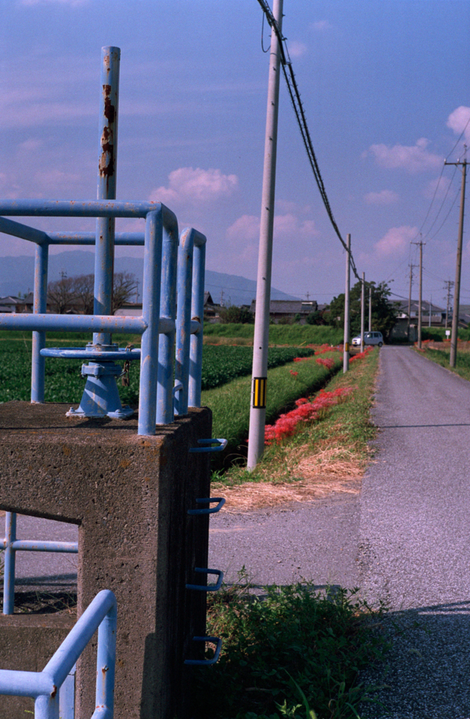 Image 1 (14)-1