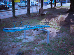 蜩と公園