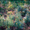 Image 1 (21)-1-2