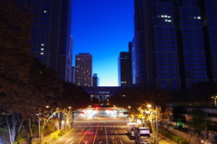 西新宿の夜明け