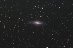 NGC7331 試写